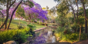 Working in Northern NSW LHD